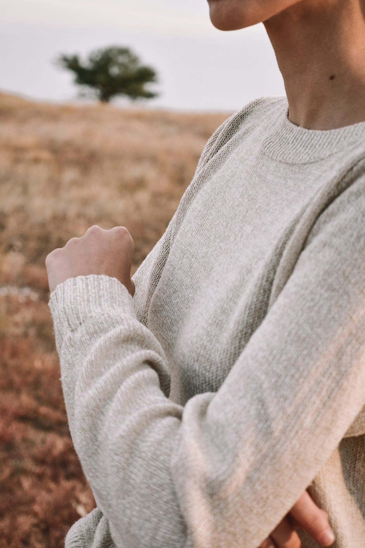 Merino Crew Neck in Oatmeal